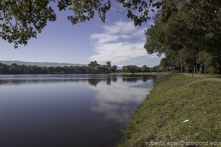 lagunita